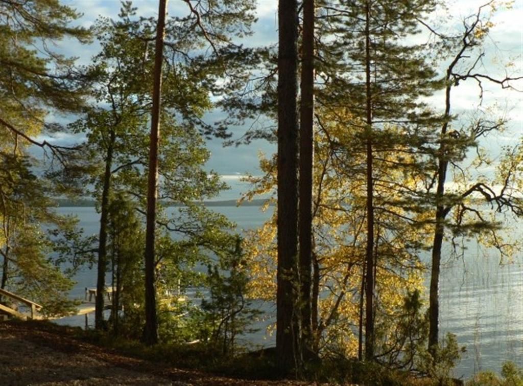Дома для отпуска Kapiaisen Lomamökit Halmeniemi-7